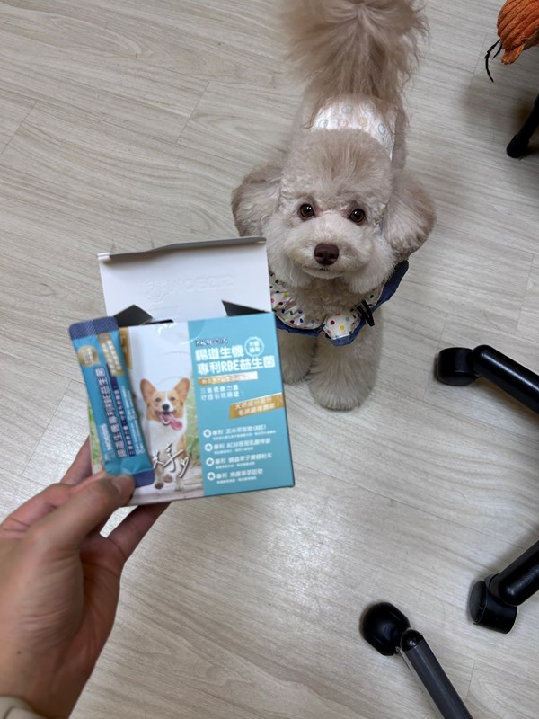 女人知己試用大隊,口碑行銷,部落客行銷,Moegis萌吉 腸道生機專利RBE益生菌,寵物益生菌,專利RBE益生元,專利蔬果酵素,小分子胜肽,藍藻粉,維持免疫力,幫助維持消化道機能,維持正常食慾,改變細菌叢生態,腸胃保健,犬貓適用